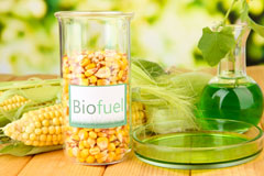 Colyton biofuel availability